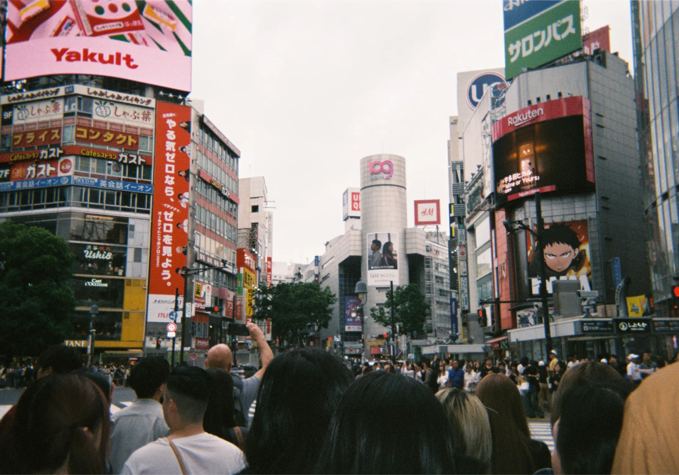 picture